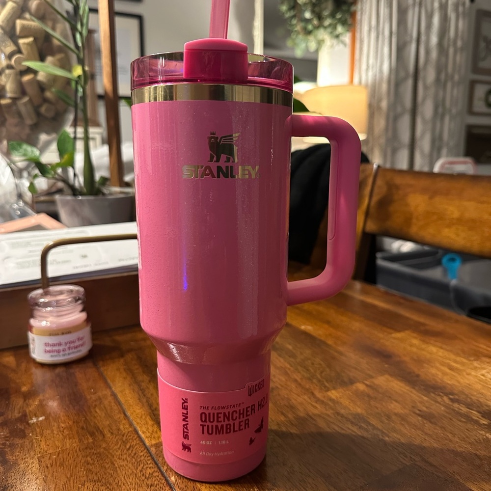 Stanley x Target Wicked Pink 40oz Quencher